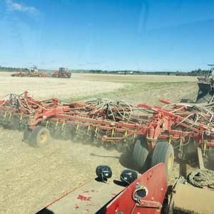 Meet your Posher, Jerry